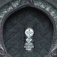 Nolan N21/Visor Clima Comfort Черный/Зеленый SPRIN00000574